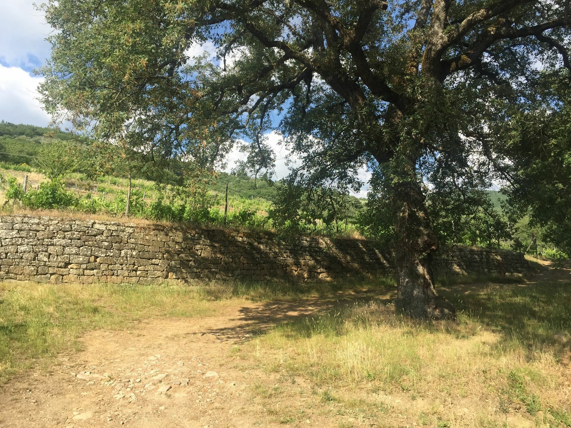 Villa La Grotta San Giustino Valdarno ภายนอก รูปภาพ